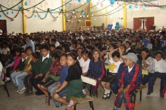 chichi-2_43668800521_o